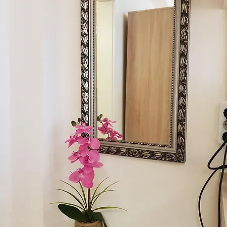 Studio Leopoldstreet Appartement *
